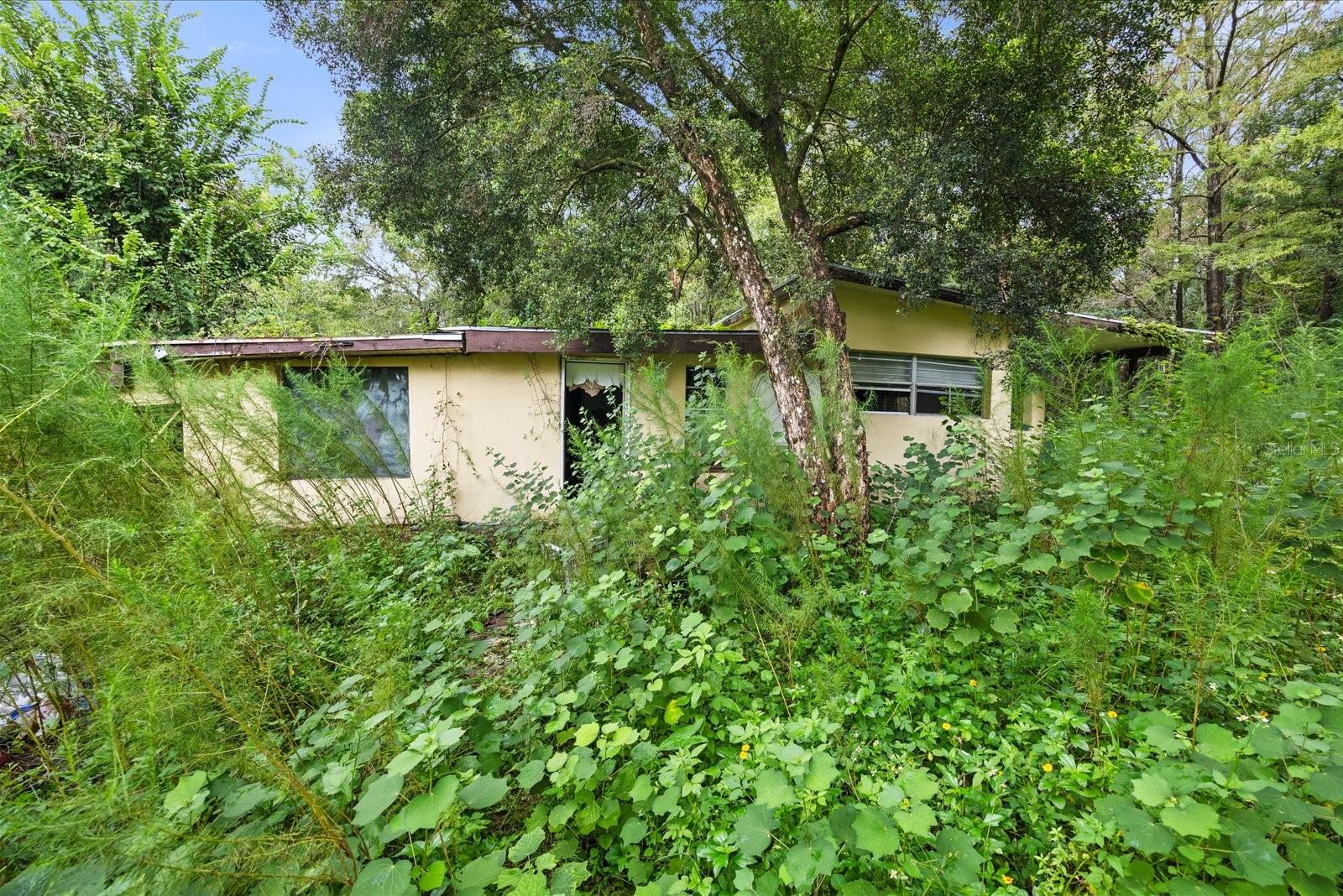 1220 Ne 342nd Trl, FL