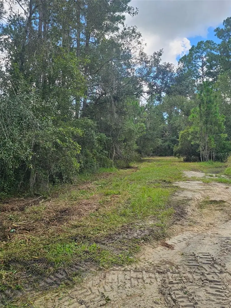 1746 Country Woods Dr, FL