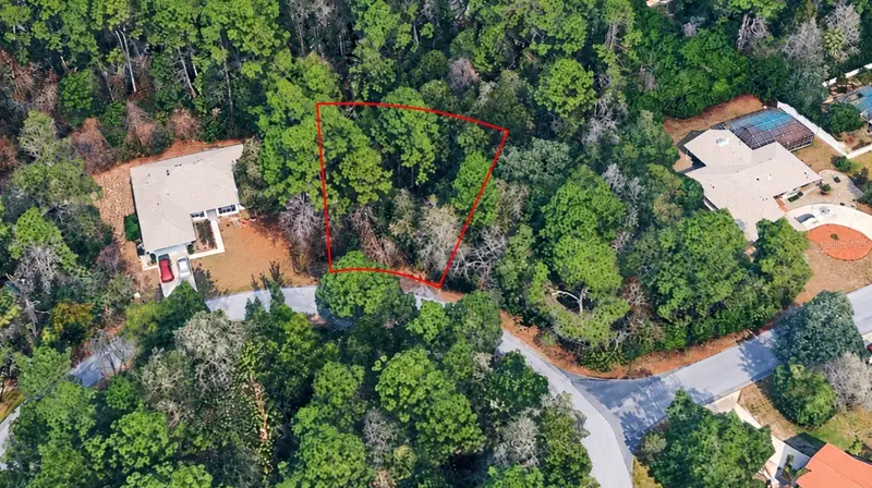 26 Wild Olive Ct, FL