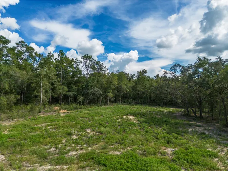 Tbd Ne 82nd Pl, FL