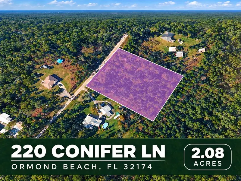 220 Conifer Ln, FL