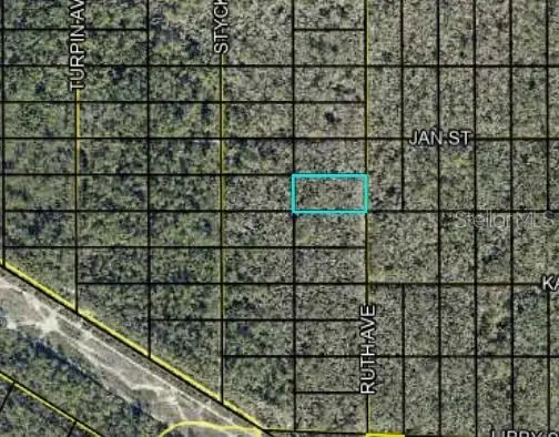 Track 189 Ruth Ave, FL