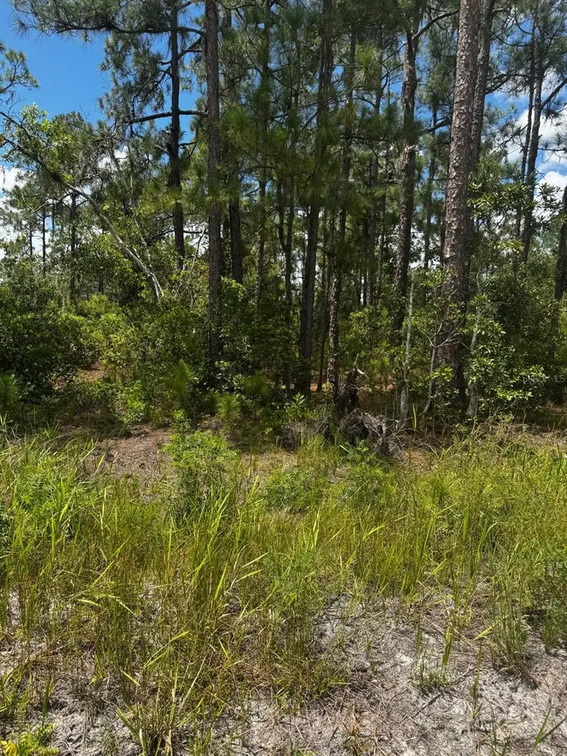 Mcclellan Rd #6, FL