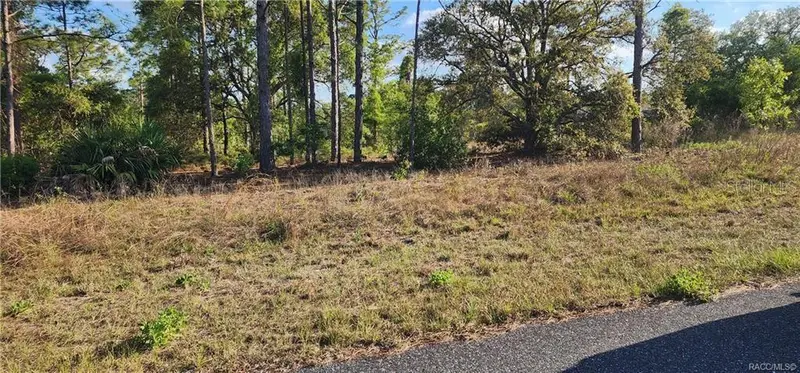 3420 W Hayward Ln, Citrussprings Fl 34433, FL