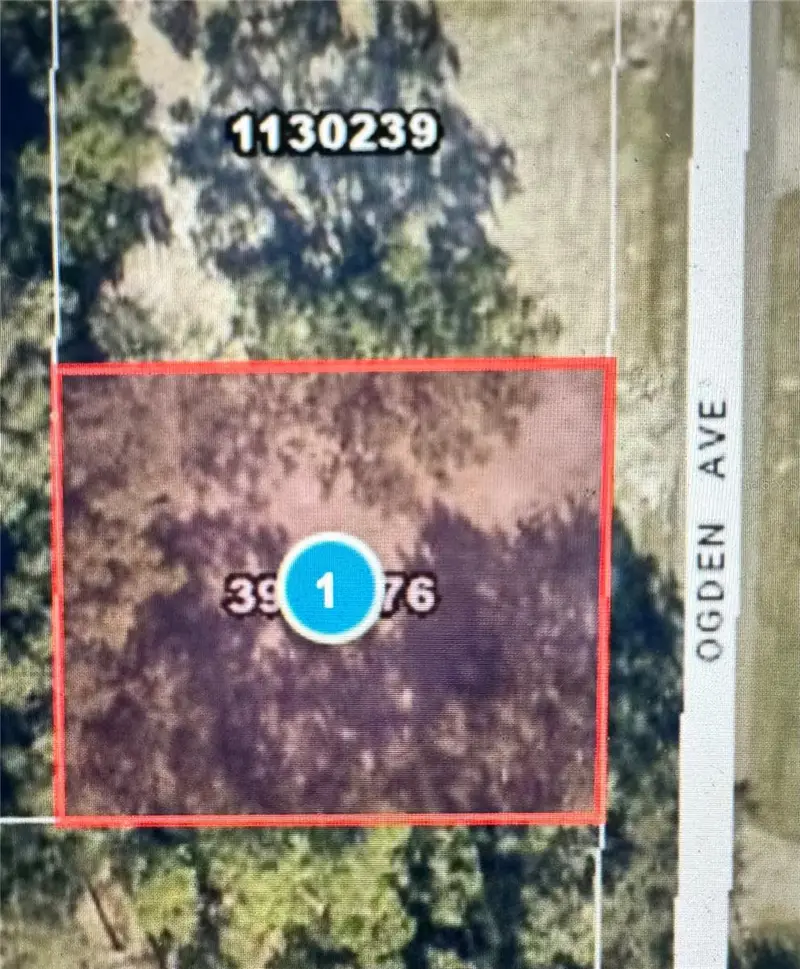 525 Ogden Ave, FL