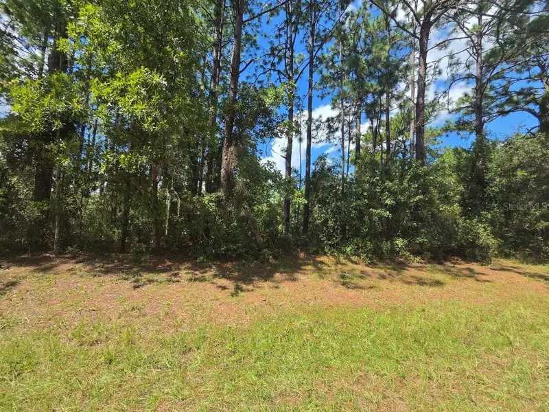00 Sw 81st Ter, FL