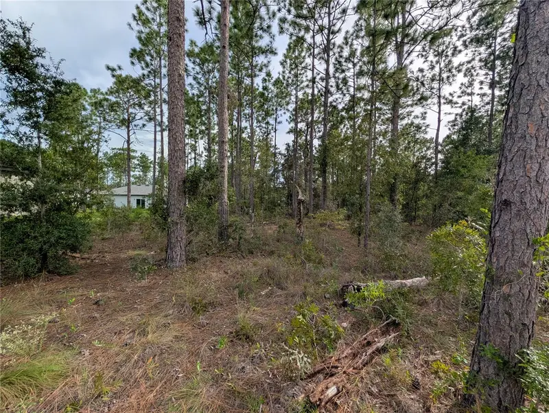 640 W Heronsbill Ln, FL