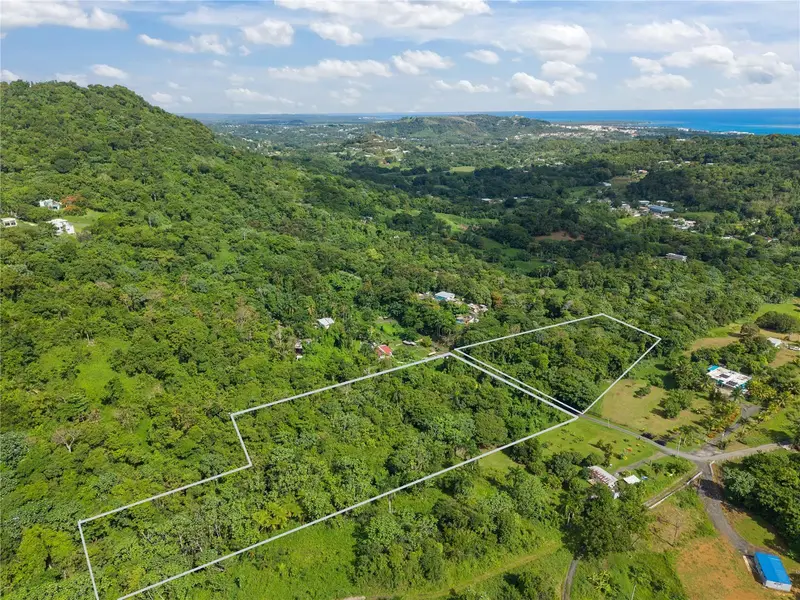 Mata De Platano, PR