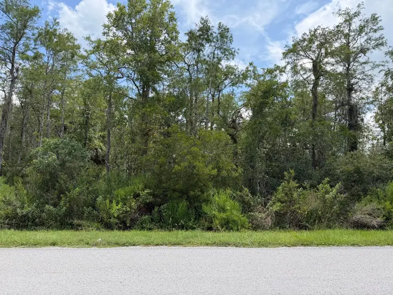 Tunbridge St, FL