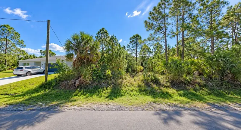 3201 Fitzpatrick Ave Sw, FL