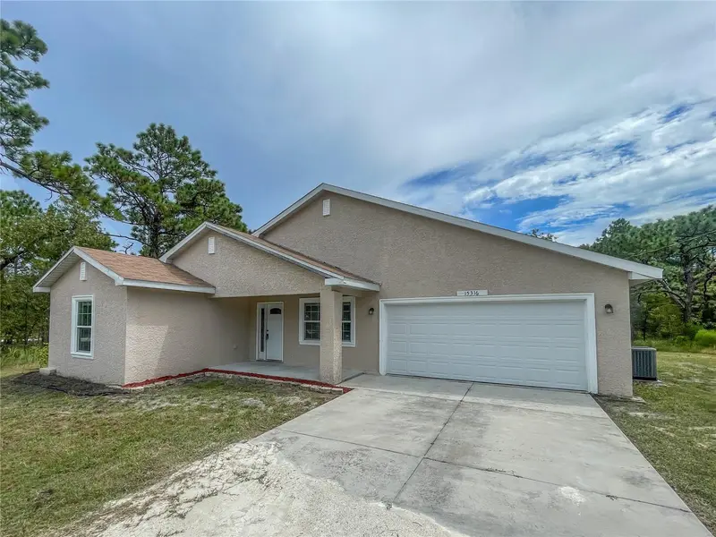 15316 Scaup Duck Ave, FL