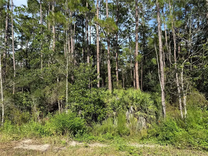 Daytona Park Estates listing