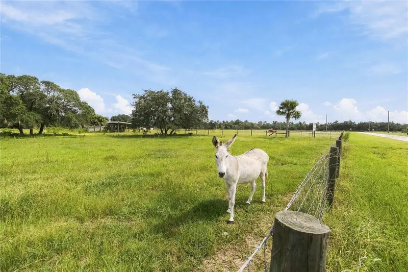 Ranch Rd, FL