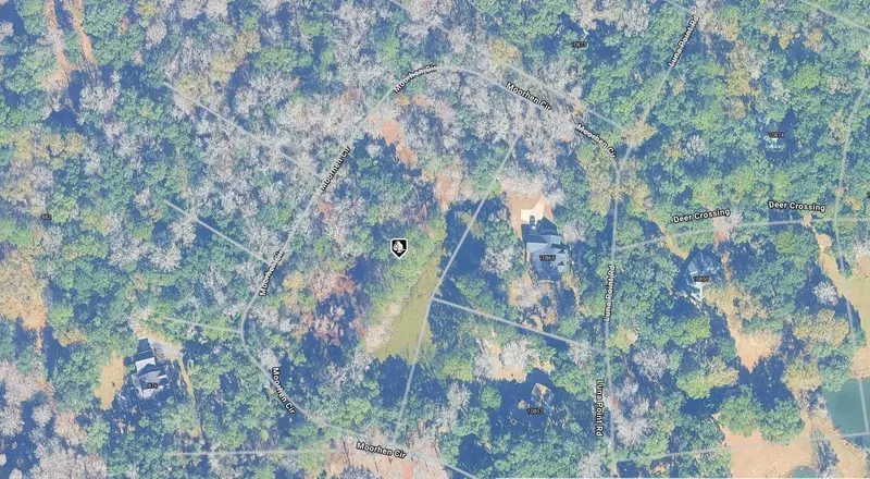 Moorhen Cir, FL