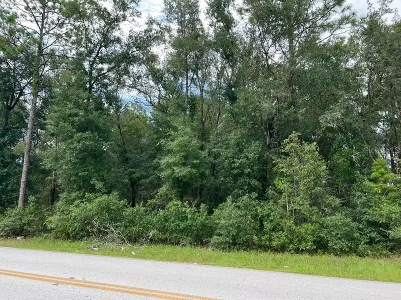 0 Se 132nd Pl Ocklawaha, FL