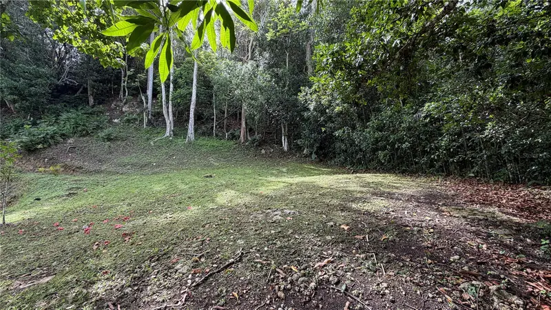 Carr 643 Km 6.7 Bo Pugnado, PR