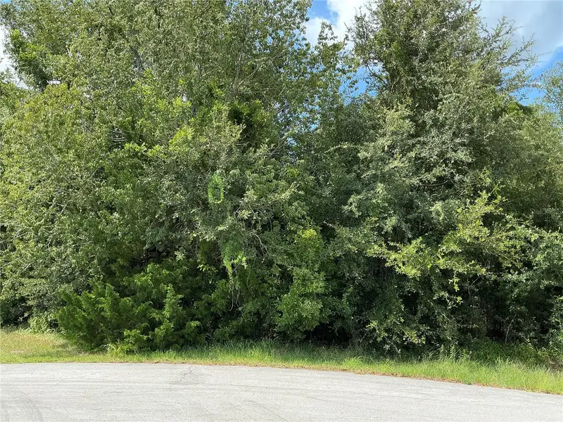 Dogwood Trail Run, FL