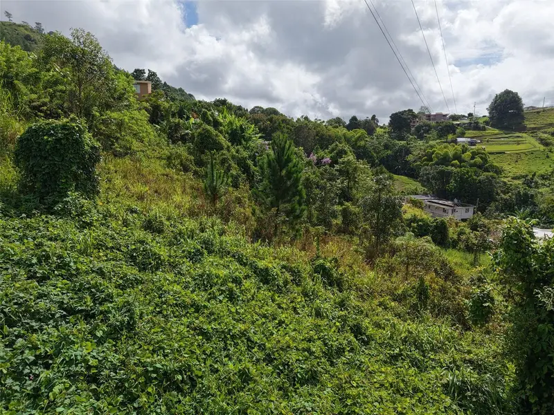 Pr 772 Km 4.9 CañAbon Ward, PR