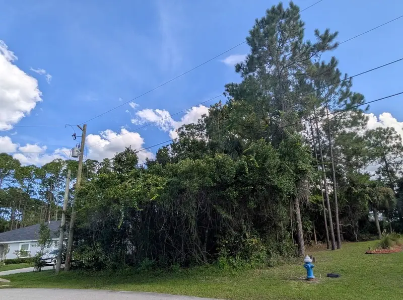 7 Seckel Ct, FL