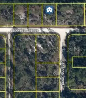 3021 Japonica Ave, FL