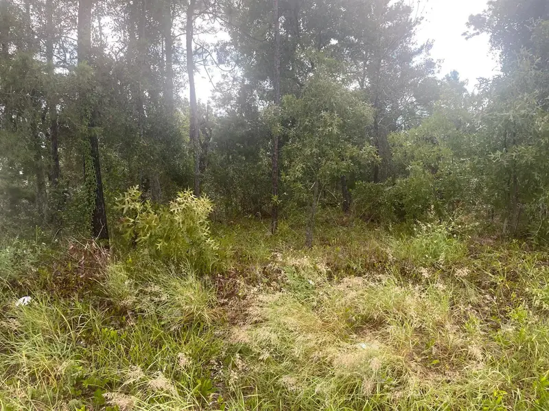 Spring Hill, Fl, FL