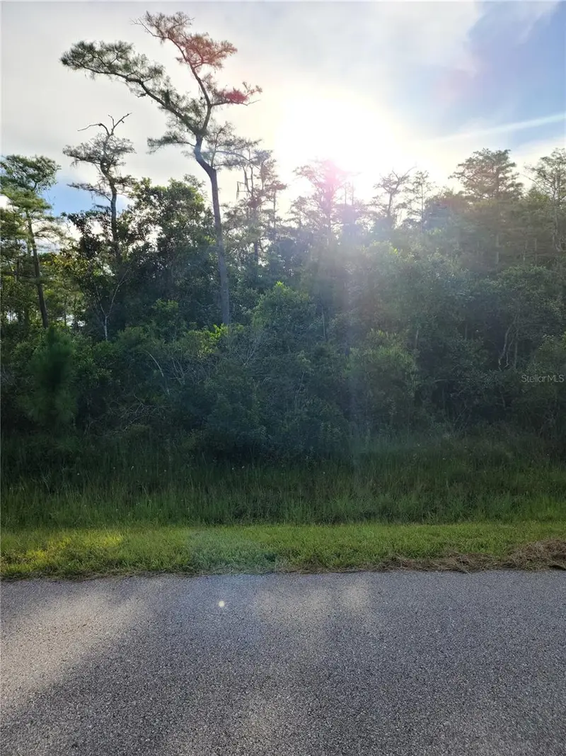 Pierre Ave #Lot 162, FL