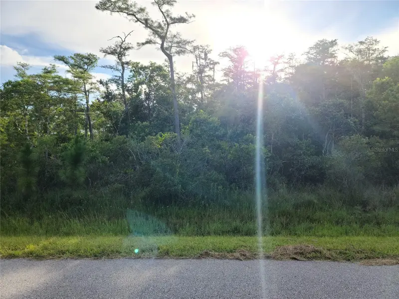 Pierre Ave #Lot 162, FL