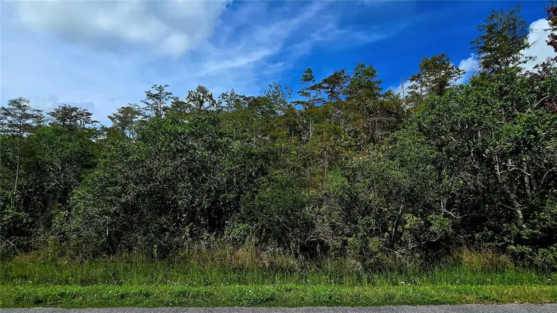 Pierre Ave #Lot 162, FL