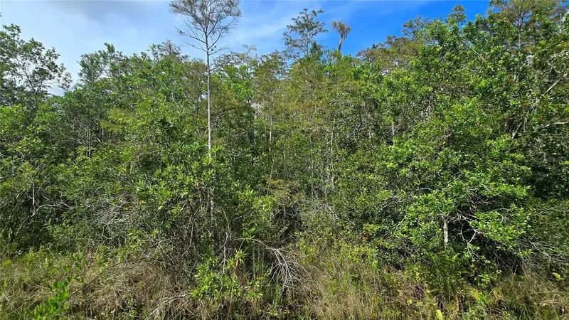 Pierre Ave #Lot 162, FL