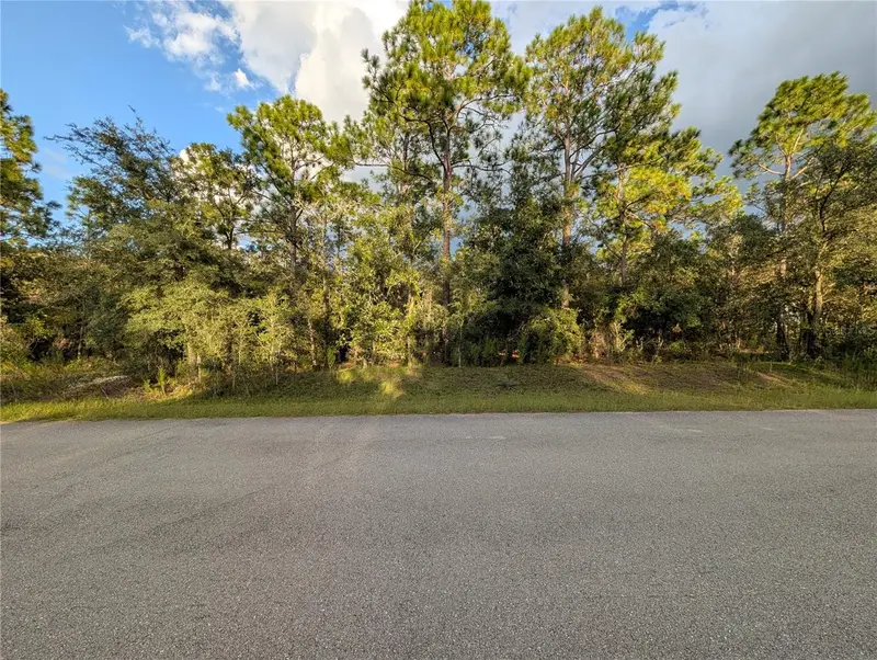 Nw Buena Vista Rd, FL
