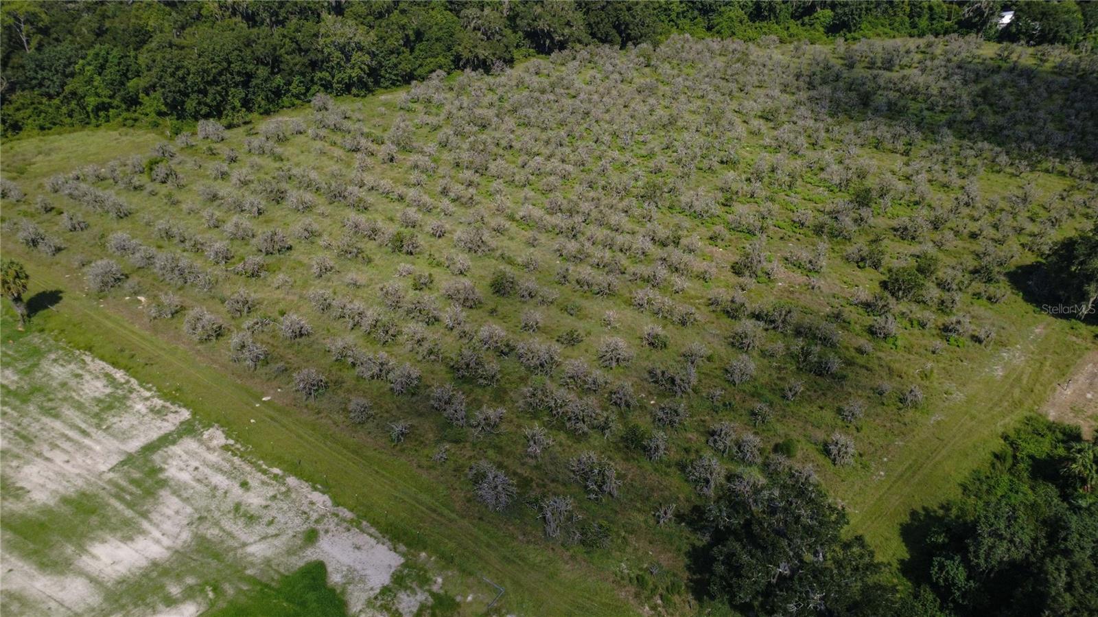 Holly Hammock Rd, FL