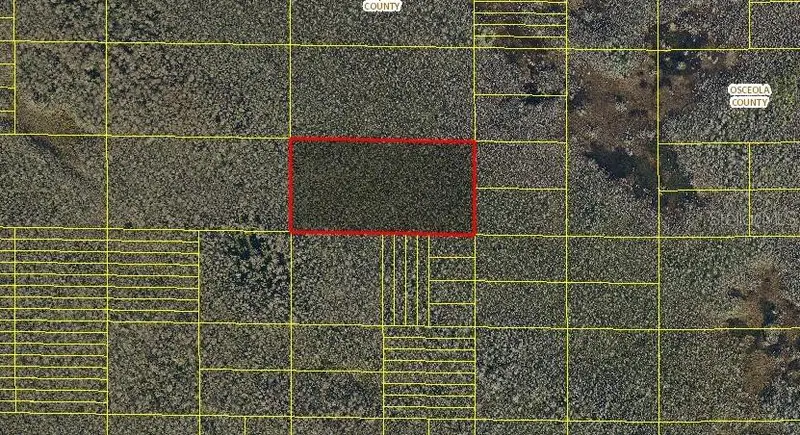Holopaw Groves Rd, FL