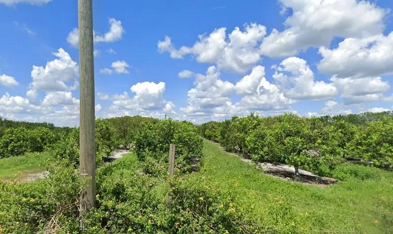 Holopaw Groves Rd, FL