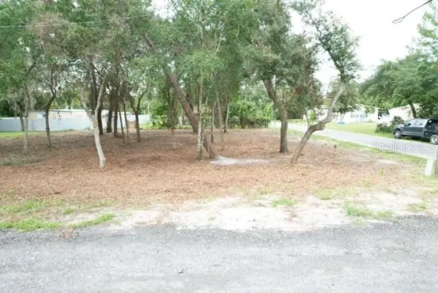 Luella Ave, FL