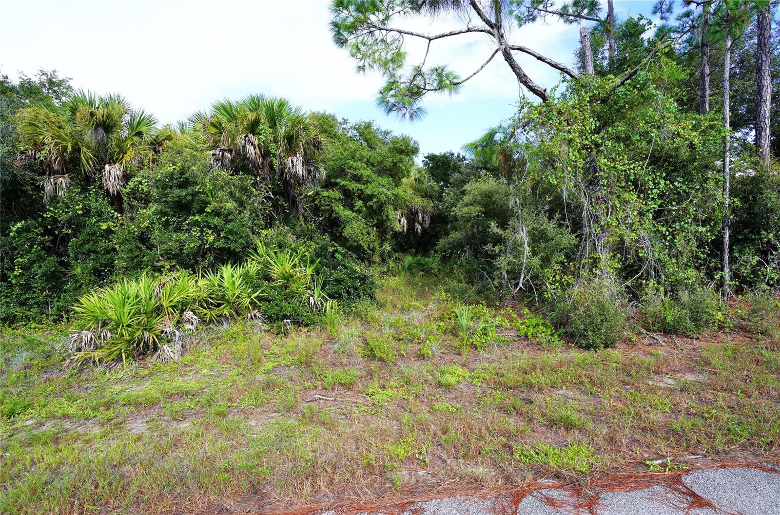 Baynes Rd, FL