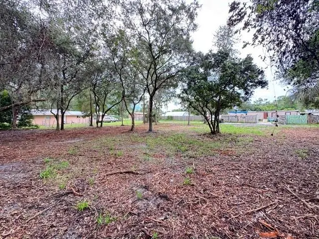 Luella Ave, FL