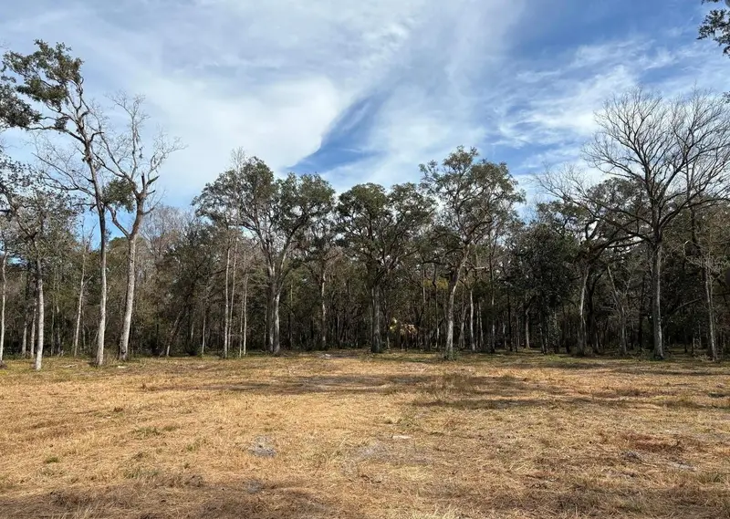 Lake Lindsey Rd, FL