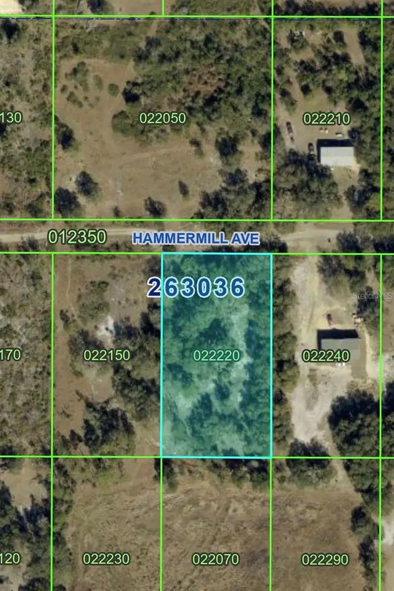 Hammermill Ave, FL