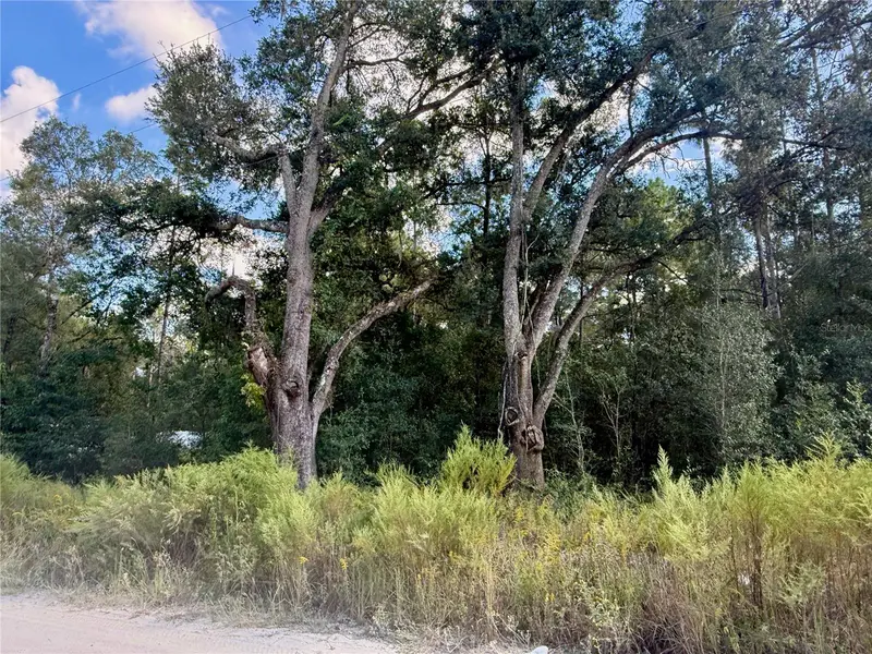 0 Sw 16th Pl, FL