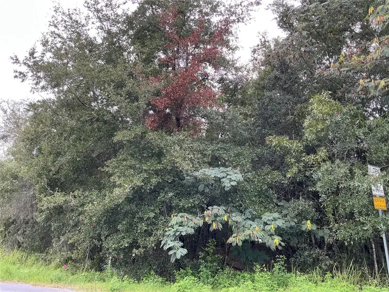 Lot 1 Pine Radial Run, FL