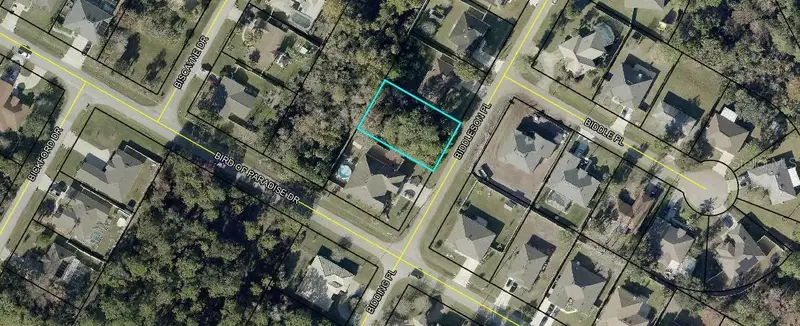 3 Biddleson Pl, FL