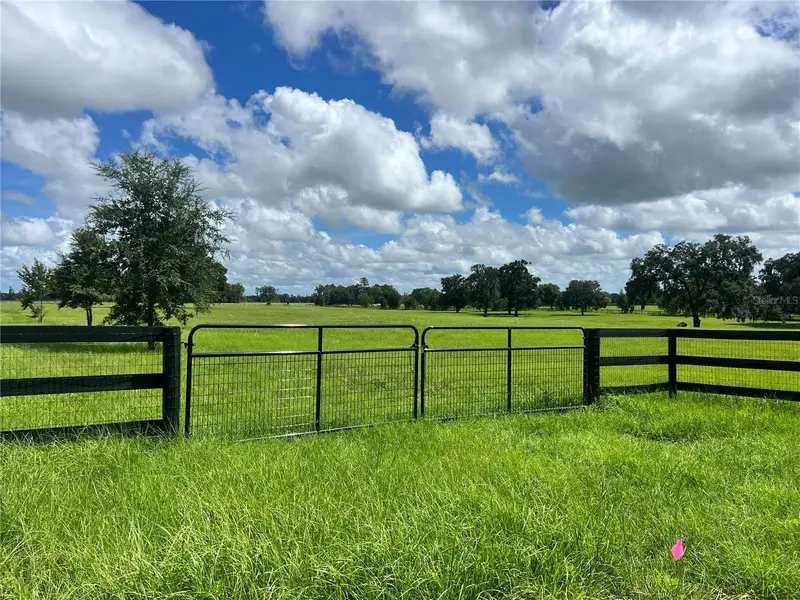 Tbd Nw 464b Hwy, FL