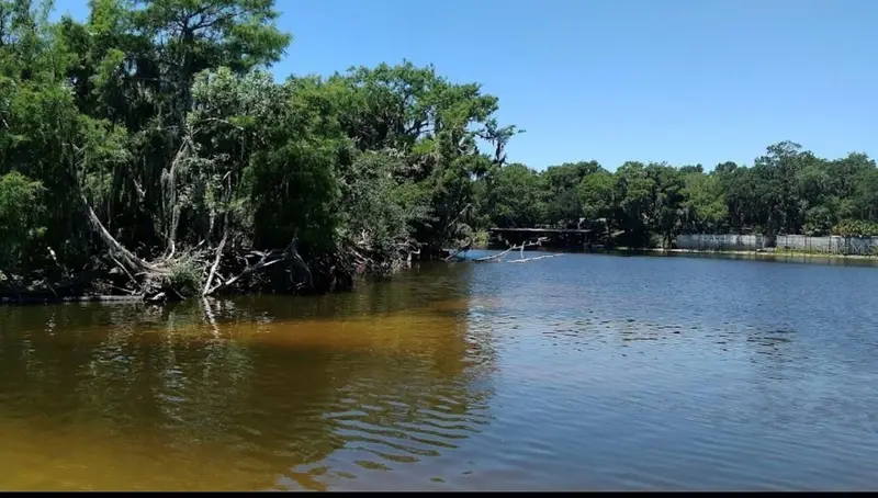 1041 Lemon Bluff Rd, FL