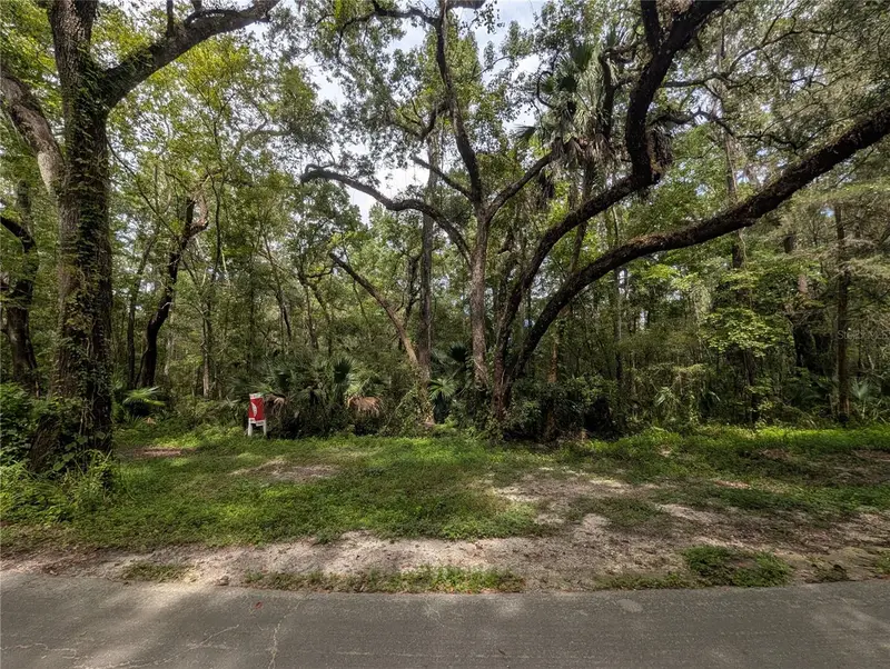 Wildwood Dr #1-16, FL