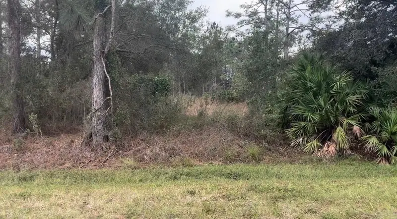 Somerset St, FL