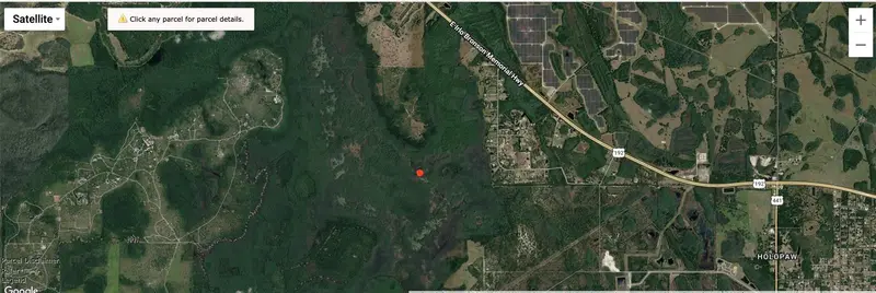 Holopaw Groves Rd, FL