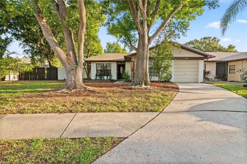 2031 Dover Ct, FL