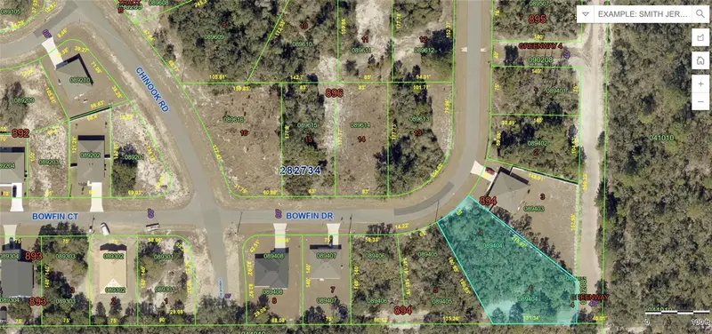 317 Bowfin Dr, FL