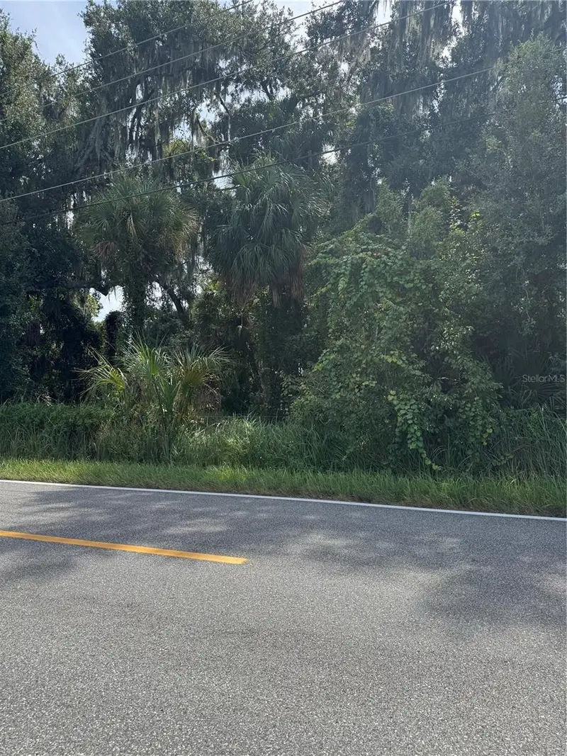 0 Medulla Rd, FL