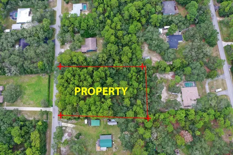 2659 S Bolton Ave, FL
